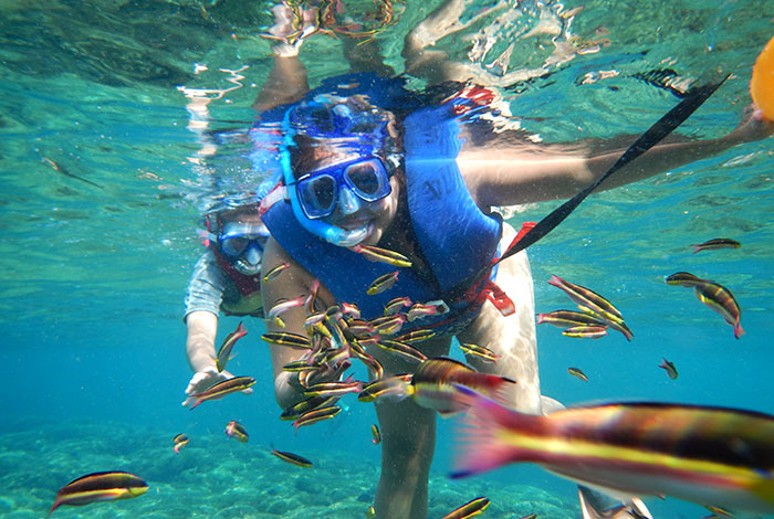 Speedy Snorkel Experience in Huatulco with Transportation