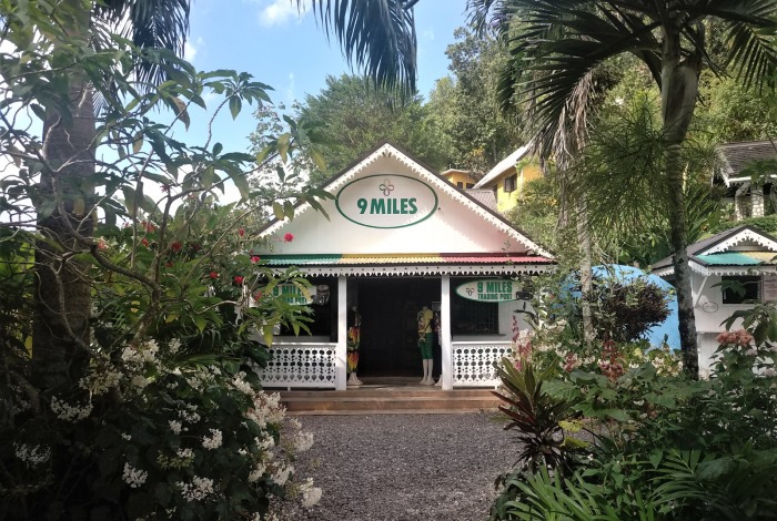 Bob Marley Tour at Nine Miles and Dunn’s River Falls with Transportation 