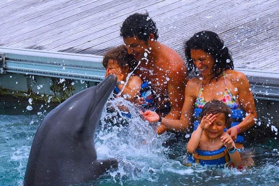 Dolphin Island Experience: Interacción con Delfines - con Transportación