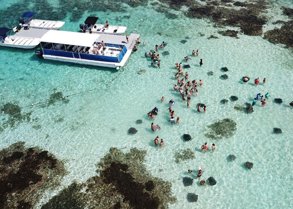 Stingray City Antigua - Snorkel & Interaction Experience