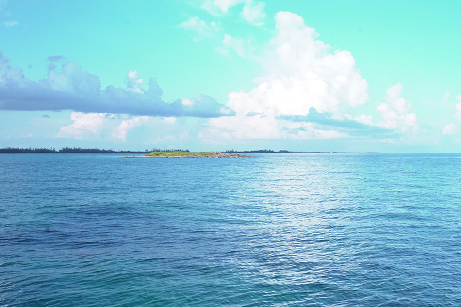 Peterson Cay with lunch and Viva beach access