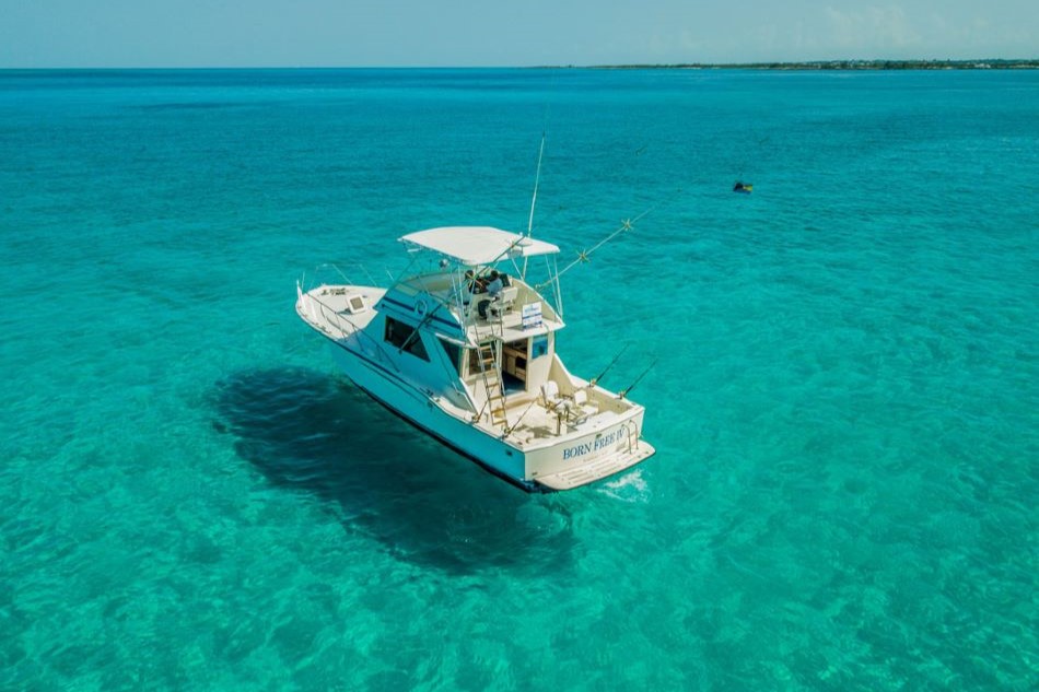 Deep Sea Fishing - Half Day 10 pax