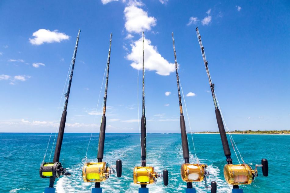Deep Sea Fishing - Full Day 6 pax