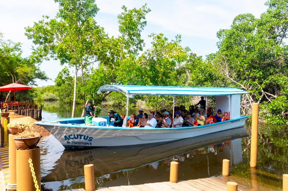 Exclusive Jungle Adventure in Mazatlán: Sea, Mangroves and Hidden Beaches