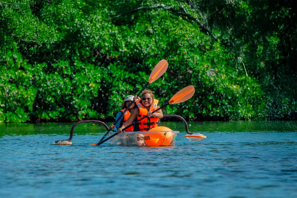 Kayak Tour with Transportation