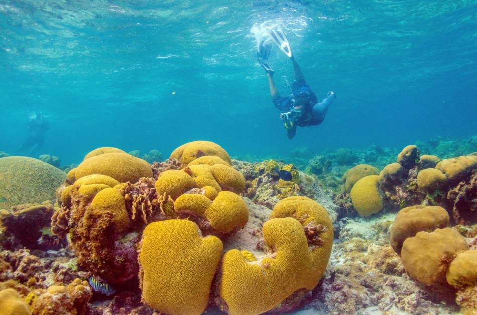 Snorkeling in San Andres Island 
