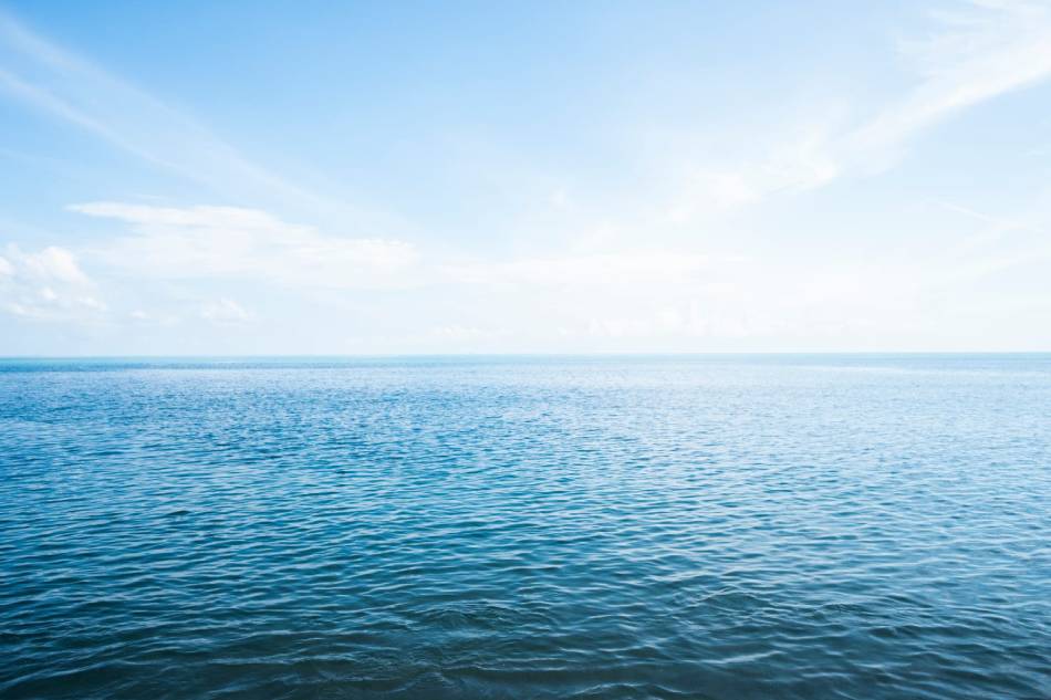 Native Island Tour with Lunch and Transportation