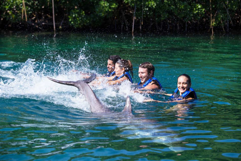 Dolphinclusive Harmony en Xel-Há 