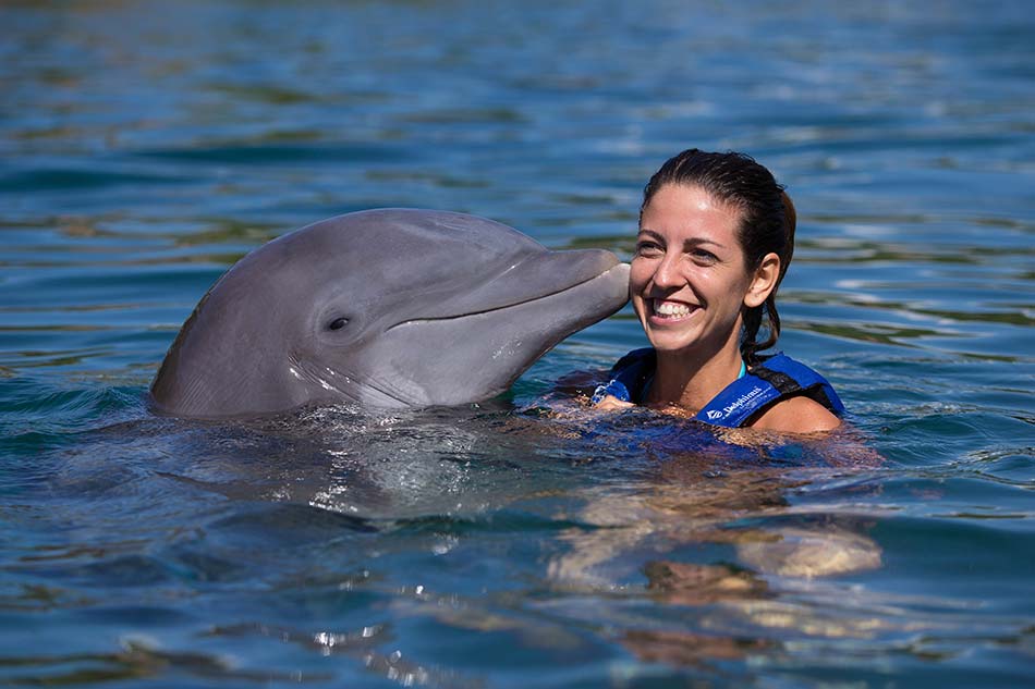 Dolphinclusive Primax en Xel-Há: Experiencia con Delfines + Acceso al Parque Xel-Há con Todo Incluido