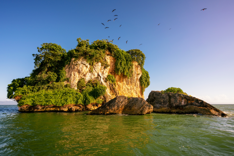 Cayo Levantado y Parque Nacional Los Haitises Con Transporte y Almuerzo