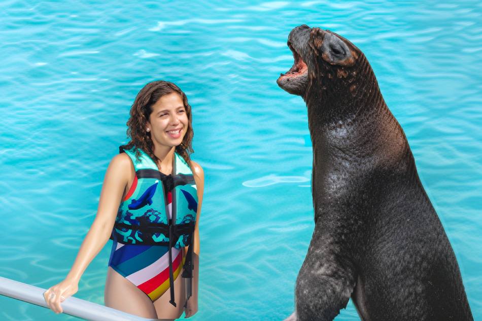 Sealion Interactive in Cozumel