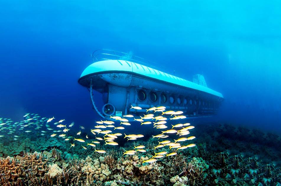 Cozumel Submarine Adventure: Reef and Shipwreck Exploration