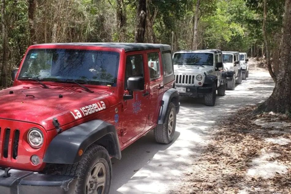 Cozumel Shared Jeep Tour to Jade Cenote and El Cedral with Snorkeling and Transportation
