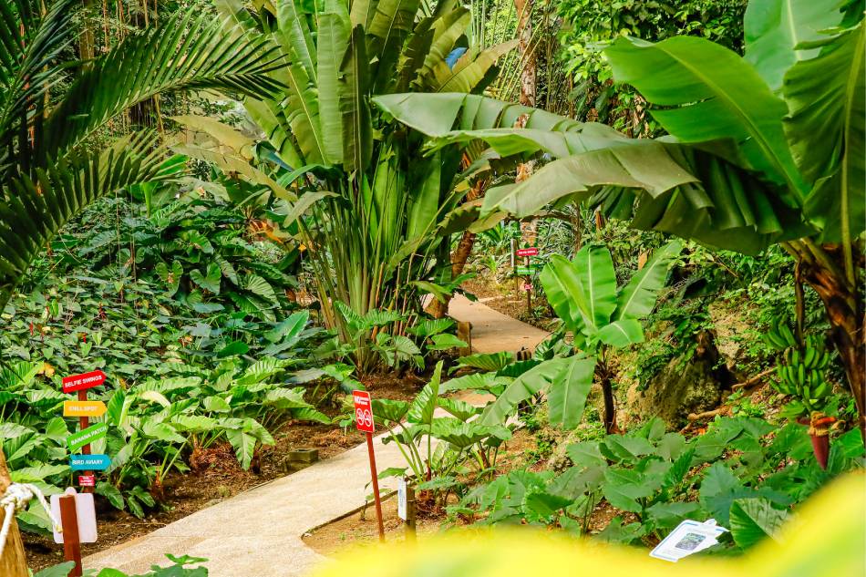 Half-Day Hunte's Gardens and Harrison's Cave Signature Tram Tour with Transportation