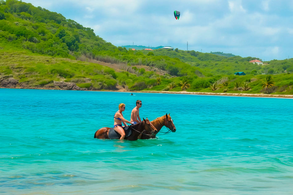 Horseback Beach Ride with Ocean Swim - 2 Hours
