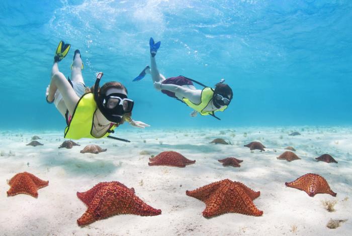 3 Sites Snorkeling by Land and Sea with Transportation