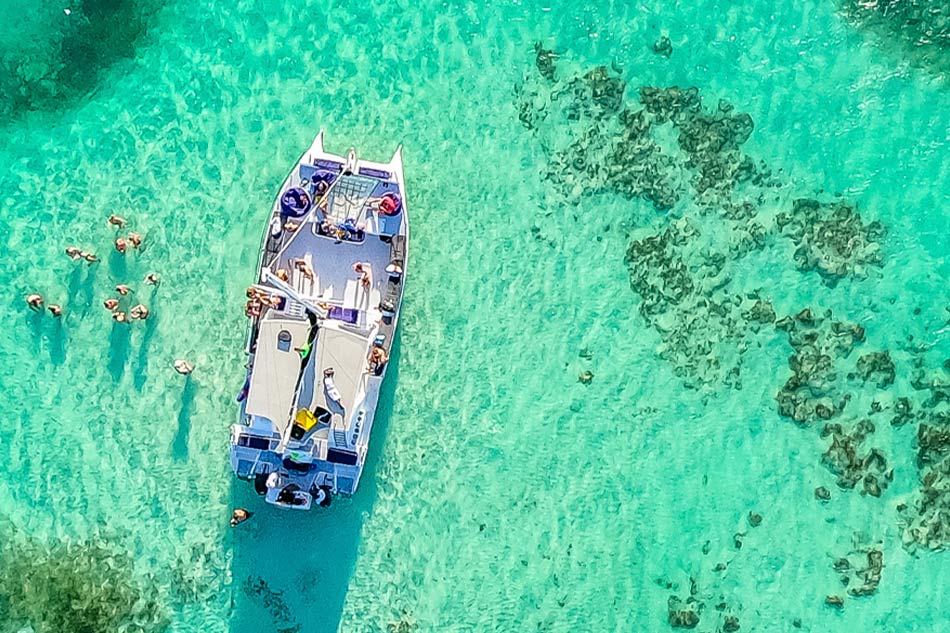 Power Cruise Premium