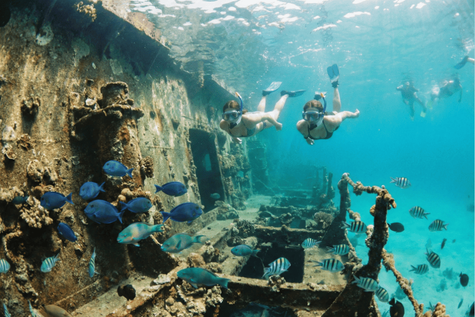 Aruba: Antilla Shipwreck and Boca Catalina Snorkeling Catamaran Tour
