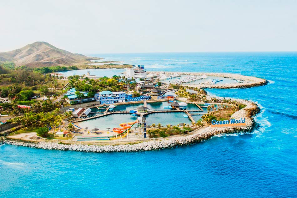Day Pass Ocean World - Parque Marino y Espectáculos con Transportación