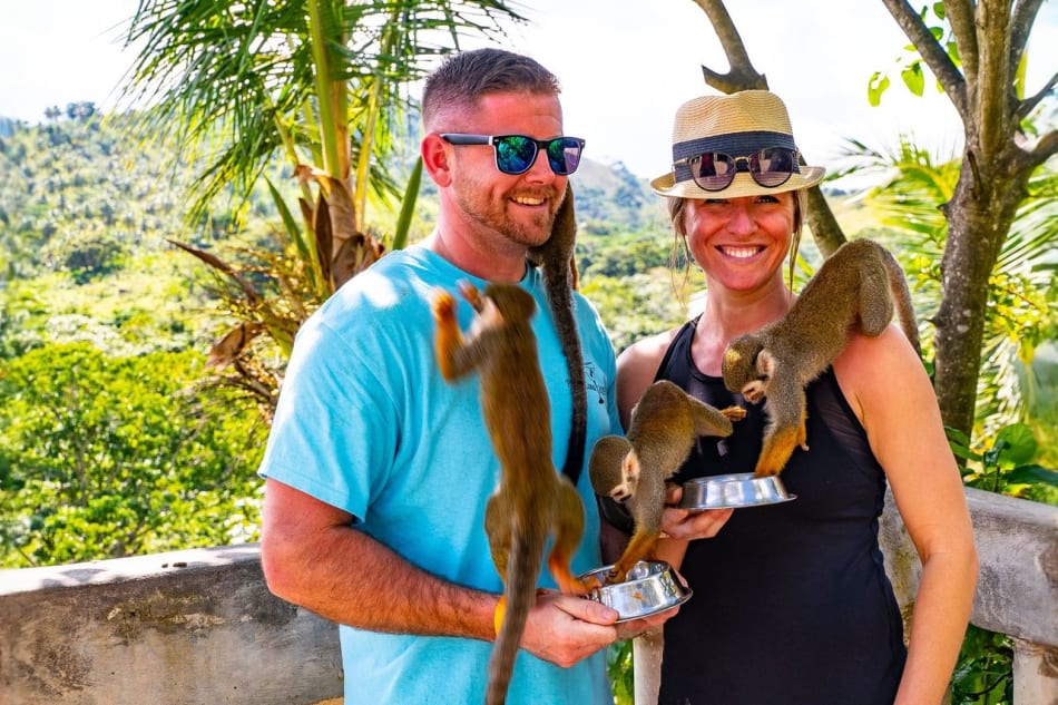 Monkeyland Medio día: Encuentro de Monos con Transportación