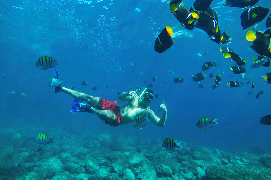 Uncover Las Caletas: Puerto Vallarta’s Natural Paradise with Lunch Included 
