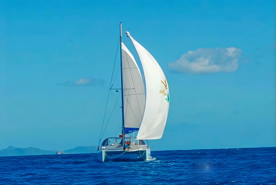 Tropical Catamaran Beach and Snorkeling