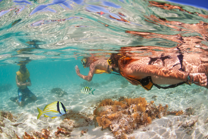 2-Day Combo: 3 Sites Snorkeling by Land and Sea and West End Tour with Transportation