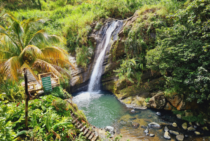 Spice Isle Unveiled - Grenada Island Tour with Transportation