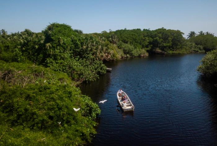 Turtles and Crocs Encounter in Oaxaca with Drinks and Transportation