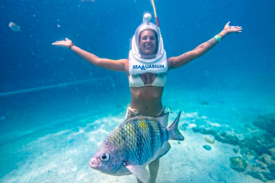 Special Offer Seaquarium